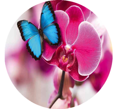 Náplň do osvěžovače POD, SOLO, DUAL - Paradise Nectar