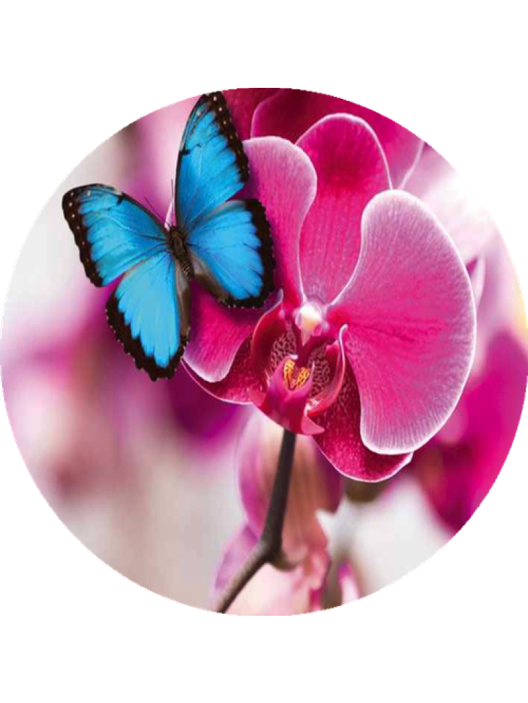 Náplň do osvěžovače POD, SOLO, DUAL - Paradise Nectar