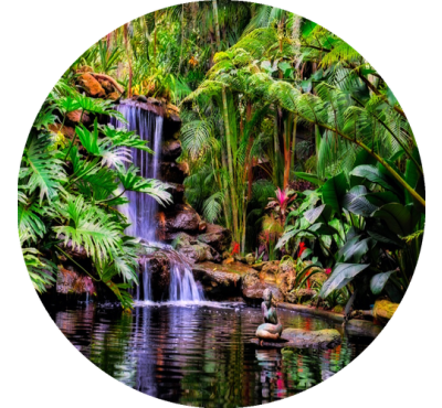 Náplň do osvěžovače POD, SOLO, DUAL - Tropical garden