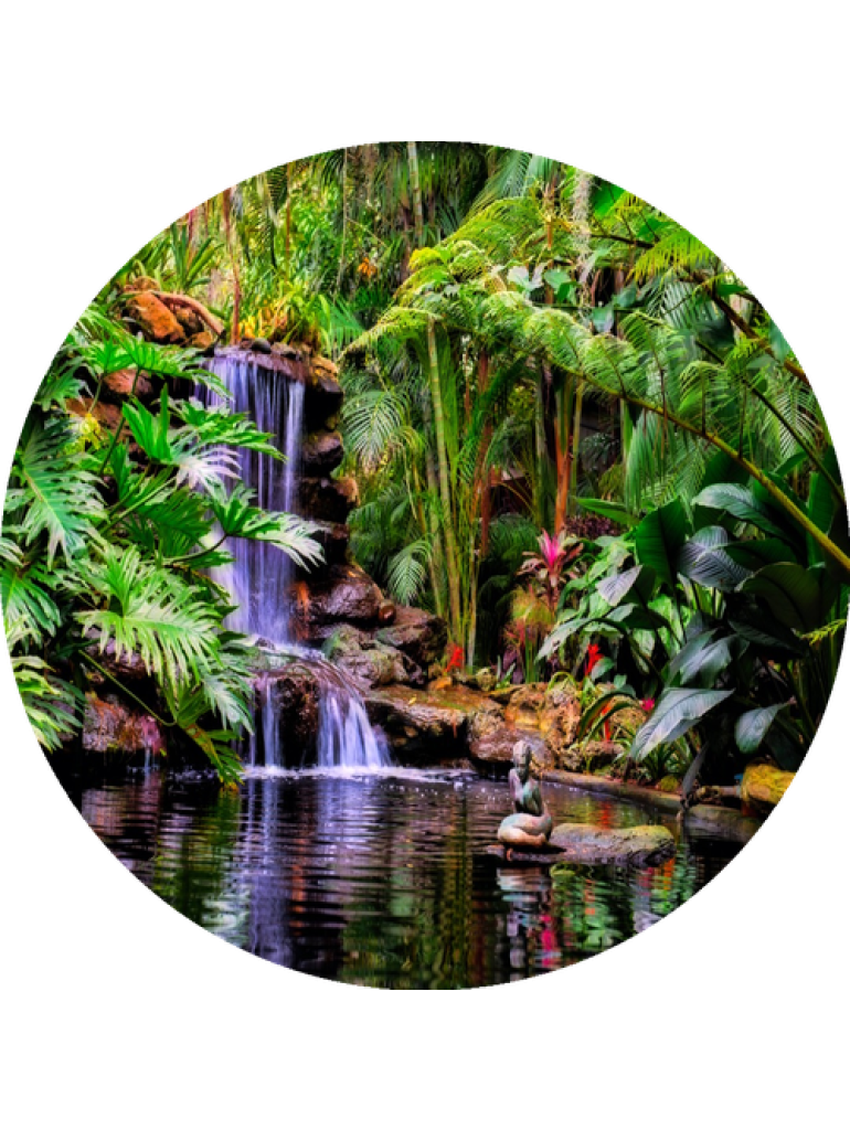 Náplň do osvěžovače POD, SOLO, DUAL - Tropical garden