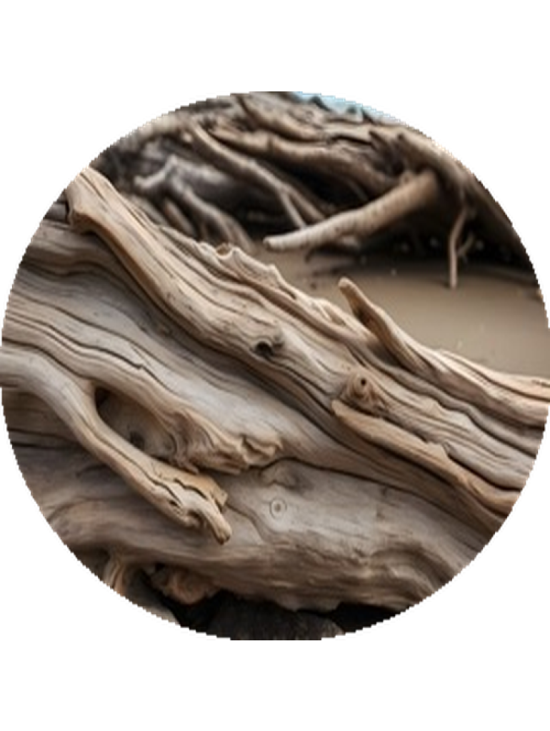 Náplň do osvěžovače HYscent F5 - Salted Driftwood